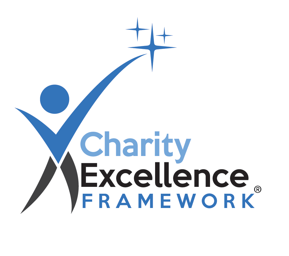 charity excellence framework logo with text and a stick figure reaching for stars